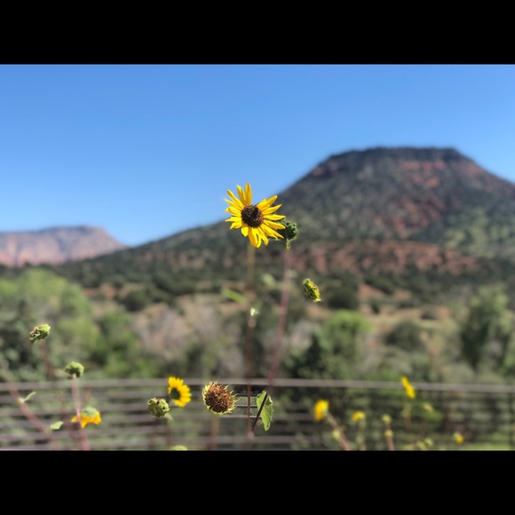 Welcome to my Art Gallery, where everything I sell is painted or drawn by me! - Picture 4 of 7